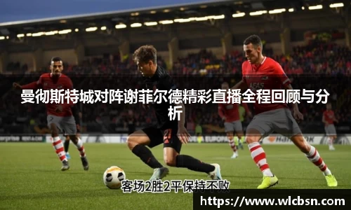 vwin德赢网页版